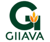 GIIAVA Food