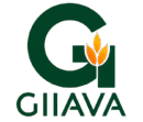 GIIAVA Food